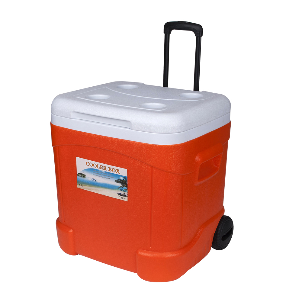 55L Cooler Box 