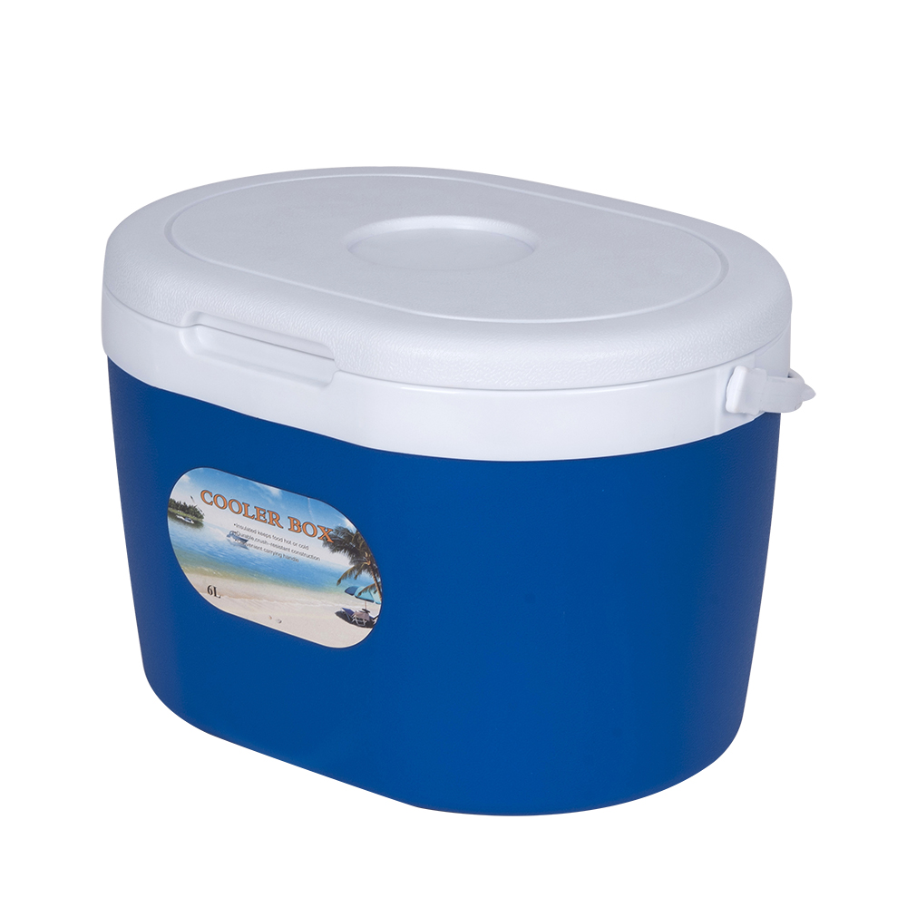 6L Cooler Box
