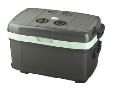 45L Electrically Cooler Box